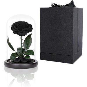 Preserved Roses Black Roses in Glass Dome, Medium, Real Rose